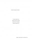 Turismo como actividad económica. Consideraciones Económica del Turismo