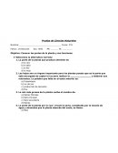 Comprender la adición y sustracción tercero básico