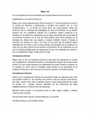 Proyecto de marketing Magic color