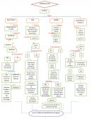 Diagrama de flujo COPROCULTIVO, siembra e identificación con pruebas bioquímicas.