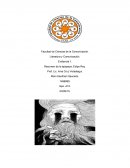 Literatura y Comunicación. Evidencia 1. Resumen de la epopeya: Edipo Rey.