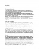Análisis y conclusión UNIVERSUM