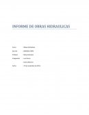 Informe obras hidraulicas