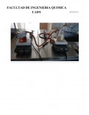 CO2 a partir de levadura