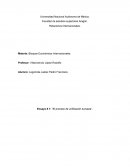 Analisis de la pelicula el zorro