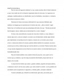 Ensayo - Diseño Industrial