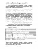 Canales de Distribución y su Selección