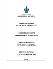 EXPERIENCIA EDUCATIVA NUTRIMENTOS Y ENERGIA. Página 1