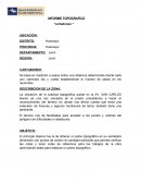INFORME TOPOGRAFICO “cartaboneo “