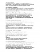 Trabajo Biología. Trompa de Falopio