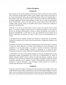 Como son los Vientres Subrogados