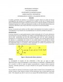 DETERMINACIÓN DE VITAMINA A EN ALIMENTOS POR HPLC
