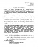 UNILEVER MIDDLE AMERICAS