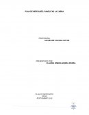 Semana 2 panelitas la cabra