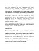 PROYECTO DE FISICA II UN GENERADOR DE ELECTRICIDAD ECOBICI