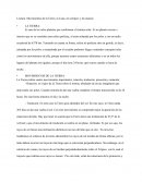 Lectura: Movimientos de la Tierra, la Luna, los eclipses y las mareas