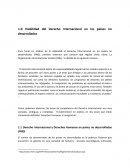 Derecho Internacional, viabilidad