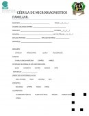 CÉDULA DE MICRODIAGNOSTICO