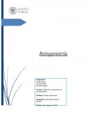 Como es la Gestion de la fuerza de ventas
