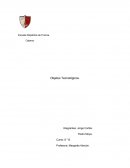 Como es el avanze de Proyecto tecnologico