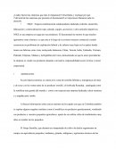 ¿Cuáles fueron las empresas que más le impactaron?