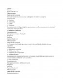 Globalizacion Parcial 1