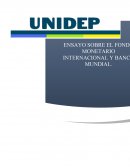 COMO SE DA EL FONDO MONETARIO INTERNACIONAL Y BANCO MUNDIAL.