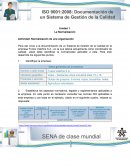 La Normalización Actividad: Normalización de una organización