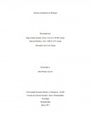 Informe Laboratorio de Biología