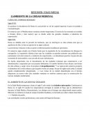 Resumen Sociedad Edad Media y Ambiente