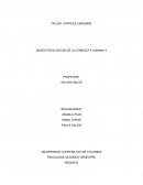 Que es la Corteza cerebral