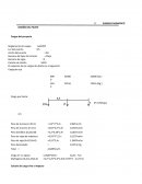 Pilotes para puentes