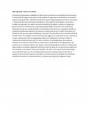 La gran Seguridad y Salud en el trabajo