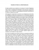 PEQUEÑAS VICTIMAS DE LA IRRESPONSABILIDAD