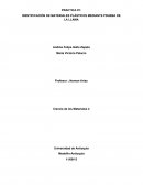 Caracterización de polímeros por prueba de la llama