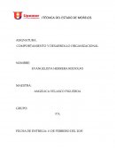 COMO ES EL COMPORTAMIENTO Y DESARROLLO ORGANIZACIONAL