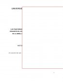 EL G~RAN TRABAJO FINAL METODOLOGIA 2