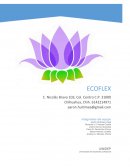 Evaluación de inversión: Transformación sostenible del plástico pet en Ecoflex, Chihuahua