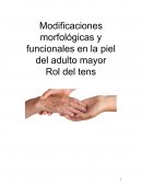 Modificaciones morfologicas