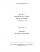 Estudio de mercadeo de almacenes Exito