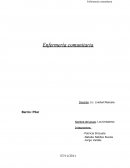 Enfermeria comunitaria