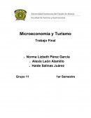 Microeconomía y Turismo Trabajo Final