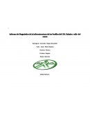 Informe de contactores