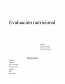 Nutricion