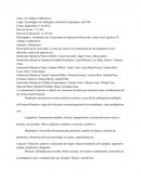 Trabajo colaborativo