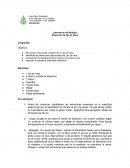 Laboratorio de Biología - Disección de Ojo de Vaca