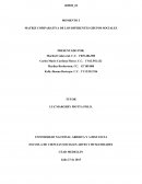 PSICOLOGÍA DE LOS GRUPOS