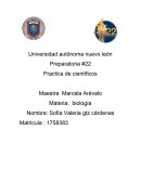 Los carbohidratos están compuestos de4 carbono, hidrógeno y oxígeno, casi siempre