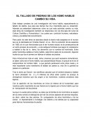 El tallado de piedras cambio la vida de los Homo Habilis