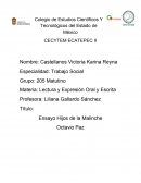 Los hijos de la malinche